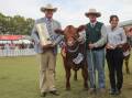 RAS councillor Stuart Davies, Lachlan Mann, and Nahomi Matsuda, Japanese Consulate, with the champion heavyweight steer on the hoof. The steer, bred by David Cameron Spring Hills, Merriwa, proceeded to take out the supreme purebred steer exhibit. Picture by Alexandra Bernard.