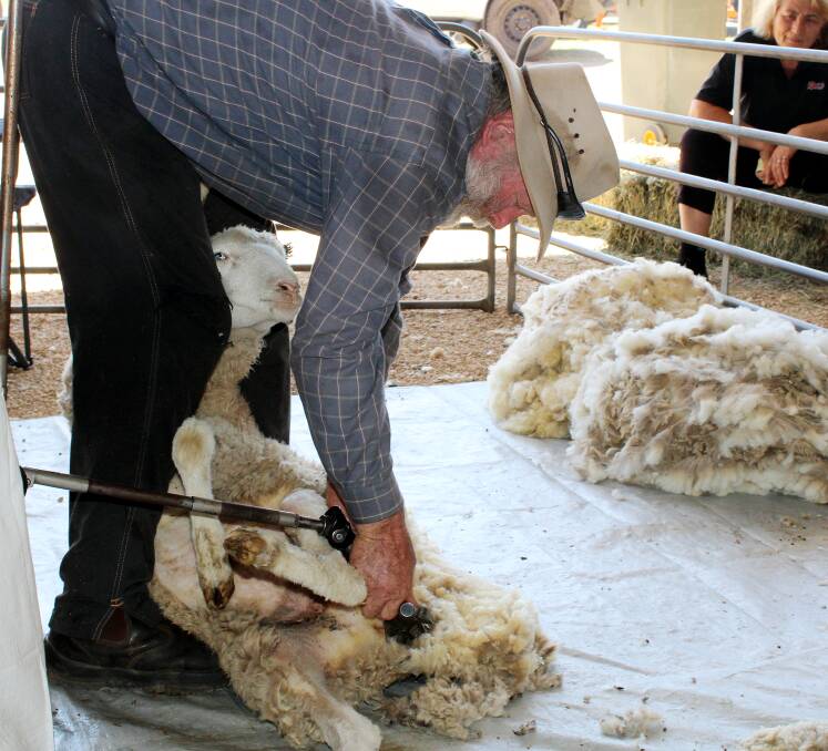 Scone's Stephen Wicks at the Upper Hunter Show on the weekend. Mr Wicks has been shearing sheep since he was 16-years-old.