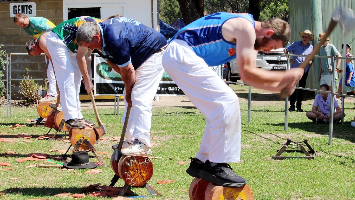Ben Waters of Denman (right) took out a handicap event in the wood chopping at Upper Hunter Show.